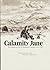 Calamity Jane: The Calamito...