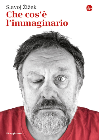 The Plague Of Fantasies By Slavoj Zizek