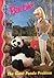 The Giant Panda Problem (Barbie and Friends Book Club)