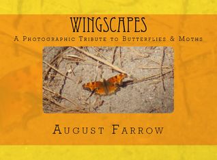 WingScapes: A Photographic Tribute to Butterflies & Moths