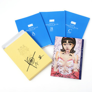 Perfect Blue: Storyboard Collection
