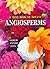 A Text Book of Botany : Angiosperms