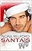 Santa's Gift: Fantasy Romance Erotica