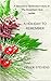 A Holiday to Remember (The ...