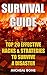 Survival Guide: Top 20 Effective Hacks & Strategies To Survive A Disaster: (How To Survive Natural Disaster, How To Survive In The Forest) (New Survival Tactics Book 1)