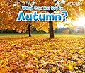 What Can You See in Autumn?