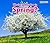 What Can You See in Spring? (Acorn: Seasons)