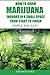 How to Grow Marijuana Indoors in a Small Space From Start to ... by Addison Edge