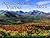 Adirondack Vistas 2011 Calendar by Carl Heilman II