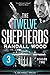 The Twelve Shepherds: Episode 3 (The Twelve Shepherds: Season Two, #3)