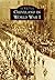 Cleveland in World War I