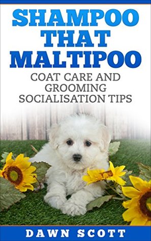 maltipoo shampoo