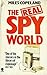 Real Spy World