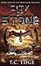 City of Stone (The Watchers Trilogy #2)(The Watchers Universe #2) by T.C. Edge