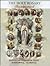 The Holy Rosary Illustrated