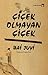 Çiçek Olmayan Çiçek by Bai Juyi