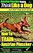 Austrian Pinscher, Austrian Pinscher Training A: Think Like a Dog, But Don’t Eat Your Poop! | Austrian Pinscher Breed Expert Training | How to Train Your Austrian Pinscher: Austrian Pinscher