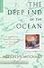 The Deep End of the Ocean