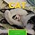 Cat (Cat Picture Books Book 1)