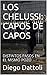 LOS CHELUSSI: CAPOS DE CAPOS: DISTINTOS PASOS EN EL MISMO POZO (Spanish Edition)