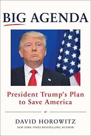 Big Agenda: President Trump's Plan to Save America