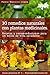30 remedios naturales con plantas medicinales: Recetas y recomendaciones para un estilo de vida saludable. (Guías prácticas nº 3) (Spanish Edition)