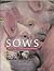 Sows: A practical guide to lactation management and fertility