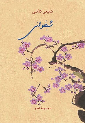 تحميل كتاب شبخوانی pdf