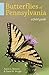 Butterflies of Pennsylvania: A Field Guide