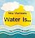 Water Is...: The Meaning of...