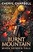 Burnt Mountain When Heroes Fall (Burnt Mountain, #5)