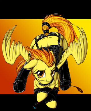 Soarin' and Spitfire's Somewhat Kinky and Peculiar Night