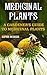 Medicinal Plants: A Gardener’s Guide To Medicinal Plants