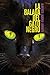 La balada del gato negro (Spanish Edition)