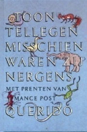 Misschien waren zij nergens (Hardcover)