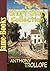 Anthony Trollope’s Short Story Collection: Aaron Trow,Hunting Sketches,Returning Home, La Mere Bauche, A Ride Across Palestine, George Walker At Suez,and More (16 Works)