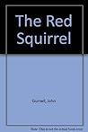 The Red Squirrel