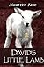 David's Little Lamb