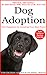 Dog Adoption: Find Happiness by Adopting Your Best Friend