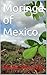 Moringa of Mexico: Tropical Life, Riviera Nayarit