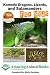 Komodo Dragons, Lizards, and Salamanders for Kids