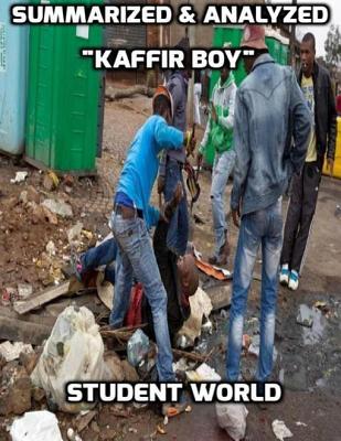 Summarized & Analyzed "Kaffir Boy"