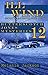 Ill Wind (Butterscotch Jones Mystery #12) by Melanie Jackson