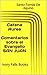 Catena Aurea Comentarios sobre el Evangelio SAN JUAN (Spanish Edition)