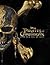 Pirates of the Caribbean by Elizabeth Rudnick
