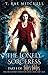 The Lonely Sorceress (Fate'...