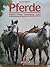 Pferderassen