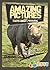 Amazing Pictures and Facts About Rhinos: The Most Amazing Fact Book for Kids About Rhinos