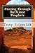 Praying Through the Minor Prophets (Praying Through the Bible Series)