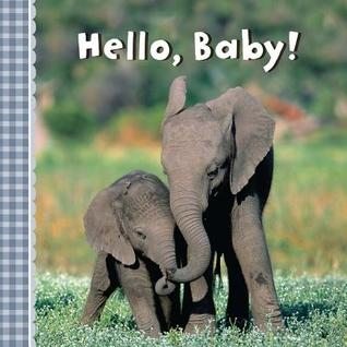 Hello, Baby! (Board Book)